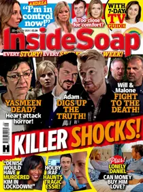 Issue 29 
                issue Issue 29