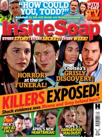 Issue 30 
                issue Issue 30