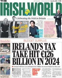 2006 
                issue 2006