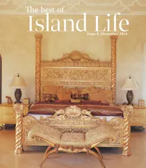 Issue 9 
                issue Issue 9