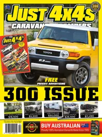 15-06 
                issue 15-06