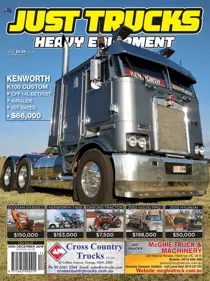 20-06 
                issue 20-06