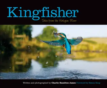 Kingfisher Preview