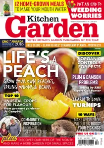 261 - June 2019 
                issue 261 - June 2019