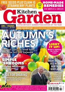 266 - November 2019 
                issue 266 - November 2019
