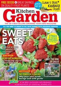 271 - April 2020 
                issue 271 - April 2020