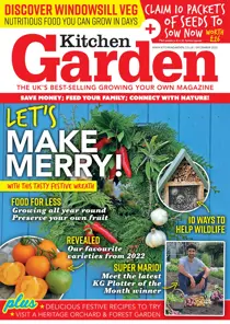 303 - December 2022 
                issue 303 - December 2022