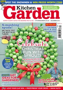 December 2013 
                issue December 2013