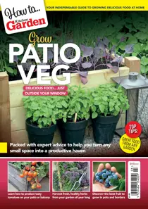 Kitchen Garden Magazine ‘How to’… Grow Patio Veg