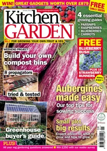 January 2013 
                issue January 2013
