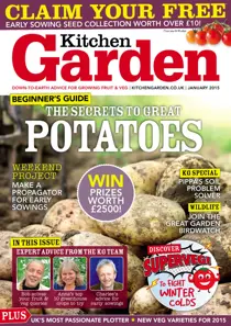 January 2015 
                issue January 2015
