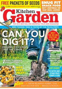 November 2018 
                issue November 2018