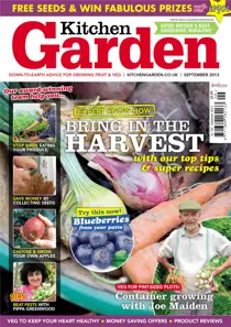 September 2013 
                issue September 2013