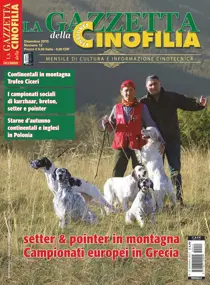 12 - 2015 DICEMBRE 
                issue 12 - 2015 DICEMBRE