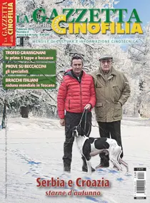 2-2015 FEBBRAIO 
                issue 2-2015 FEBBRAIO