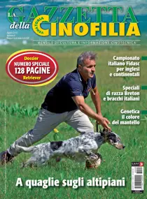 Agosto 2018 
                issue Agosto 2018