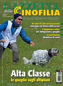 Agosto 2019 
                issue Agosto 2019