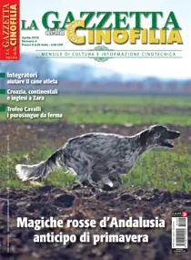 Aprile 2018 
                issue Aprile 2018