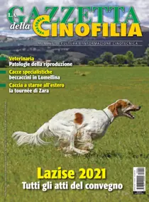 Aprile 2021 
                issue Aprile 2021