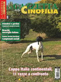 Dicembre 2017 
                issue Dicembre 2017