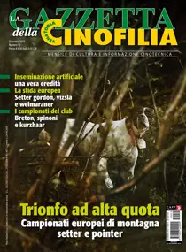 Dicembre 2018 
                issue Dicembre 2018