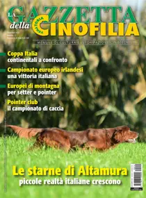 Dicembre 2021 
                issue Dicembre 2021