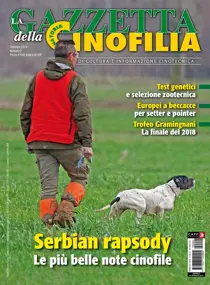 Febbraio 2019 
                issue Febbraio 2019