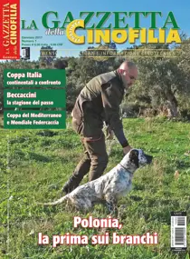 Gennaio 2017 
                issue Gennaio 2017