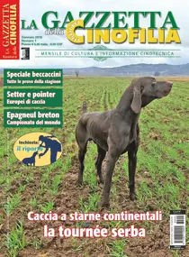 Gennaio 2018 
                issue Gennaio 2018