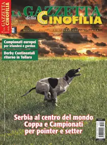 Giugno 2017 
                issue Giugno 2017