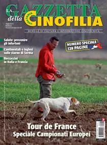 Giugno 2018 
                issue Giugno 2018