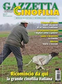 Giugno 2020 
                issue Giugno 2020
