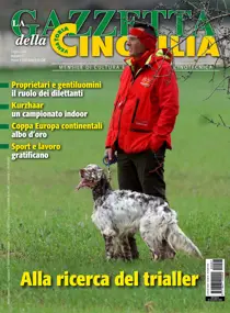 Luglio 2020 
                issue Luglio 2020