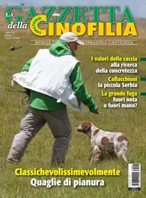 Luglio 2023 
                issue Luglio 2023