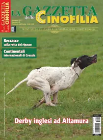 Maggio 2017 
                issue Maggio 2017