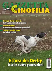 Maggio 2019 
                issue Maggio 2019