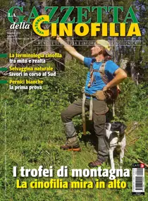 Novembre 2019 
                issue Novembre 2019