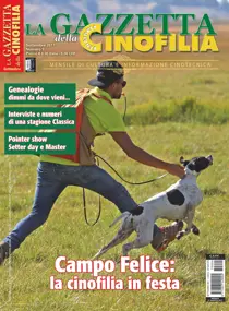 Settembre 2017 
                issue Settembre 2017