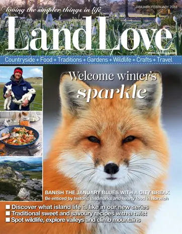 LandLove Magazine Preview