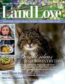 January-February 2013 
                issue January-February 2013