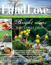 January/February 2015 
                issue January/February 2015