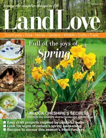 March 2017 
                issue March 2017