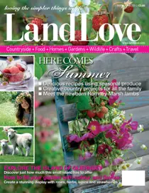 May-June 2013 
                issue May-June 2013