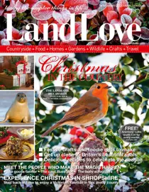 November/December 2014 
                issue November/December 2014