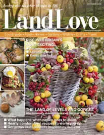 October 2016 
                issue October 2016