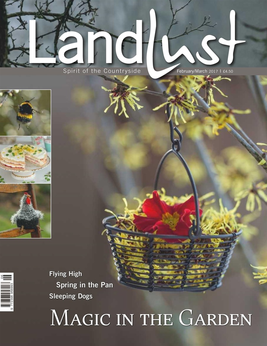 Landlust issue February/March 2017 