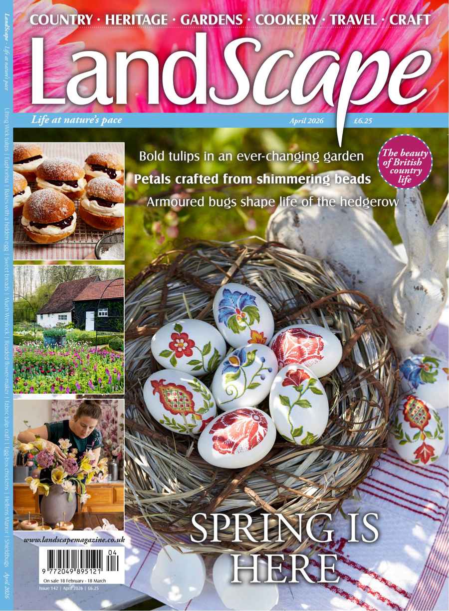 LandScape issue Apr-26