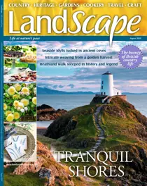 August 2020 
                issue August 2020