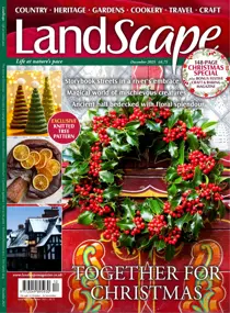 LandScape 
                issue Dec-25