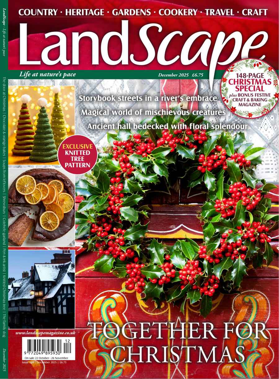 LandScape issue Dec-25